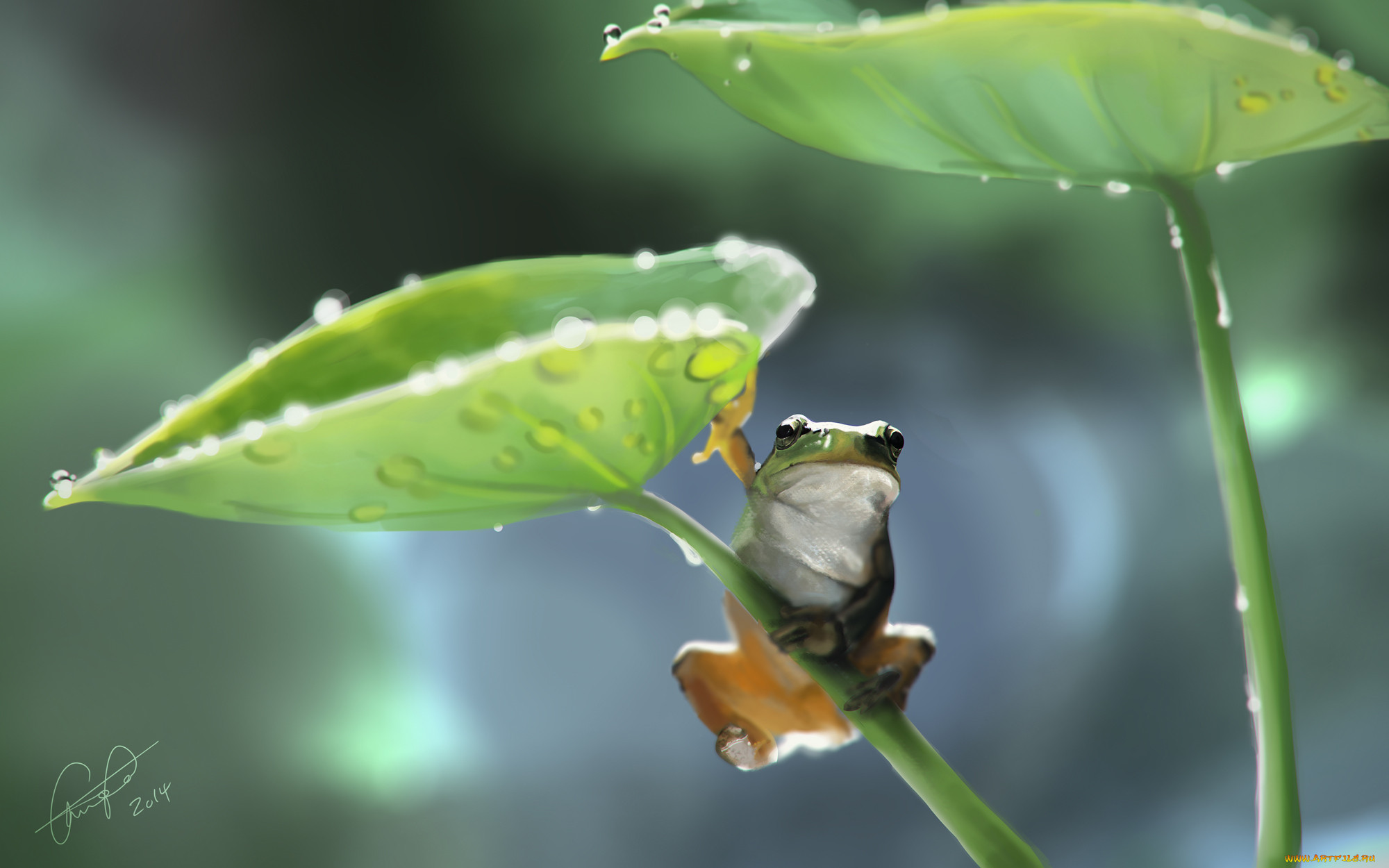 ,  , , , , , 
